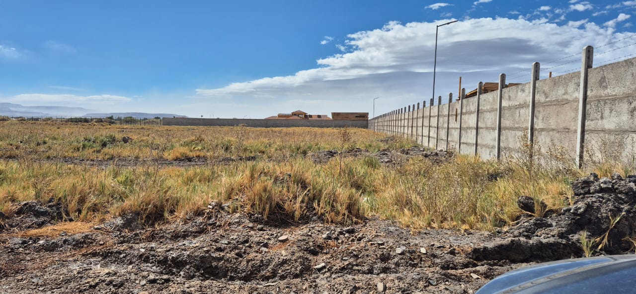 WhatsApp Image 2025-08-17 at 12.20.35 PM (3)_69ee4b2c5f08c.jpeg